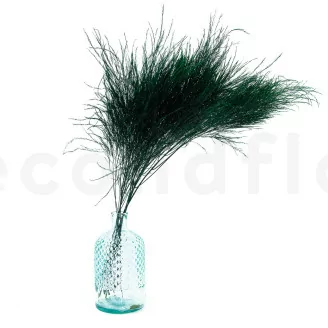 Tree Fern stabilis&eacute; Vert Fonc&eacute;