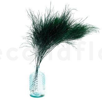 Tree Fern Stabilized - Dark Green