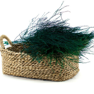 Tree Fern Stabilisé - Vert Foncé