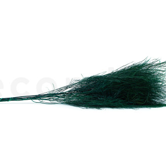 Tree Fern Preserved - Dark Green