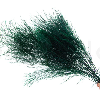 Tree Fern Stabilized - Dark Green