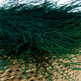 Tree Fern Stabilized - Dark Green