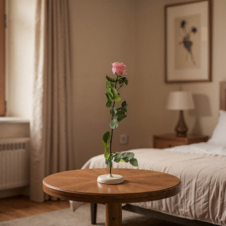 Rosa su stelo stabilizzata vrac 50cm - 30 unità - Rosa chiaro