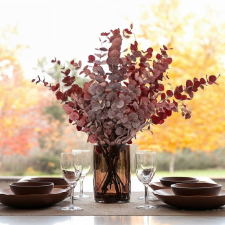 Eucalyptus Cinerea Stabilized - Red