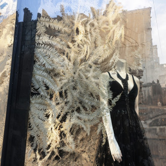 Foug&egrave;re des montagnes Stabilis&eacute;e - Blanc