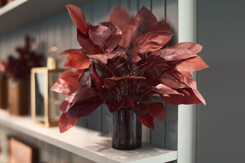 Salal Stabilized - Red