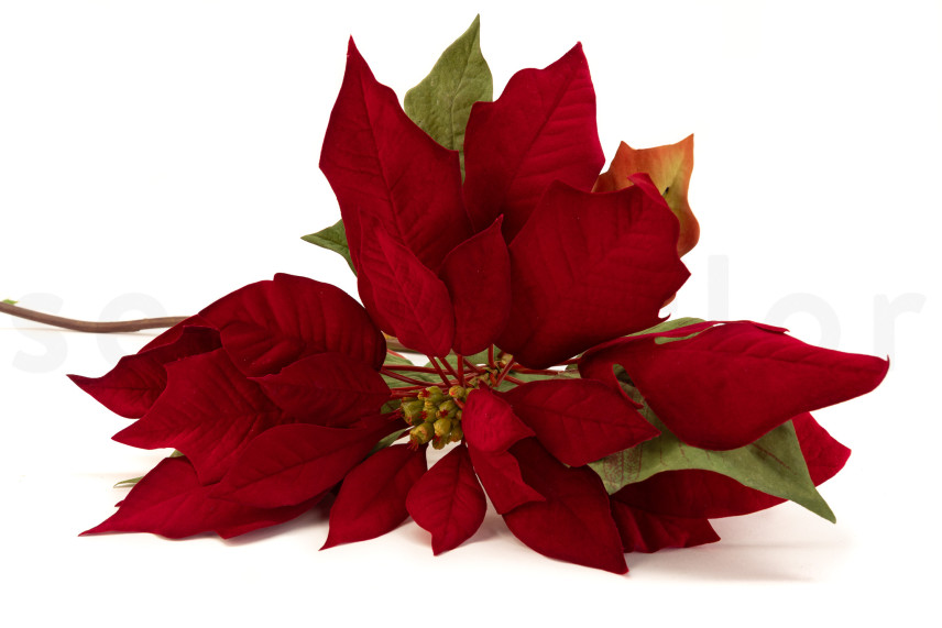 Flor de Pascua con tallo Artificial - Rojo