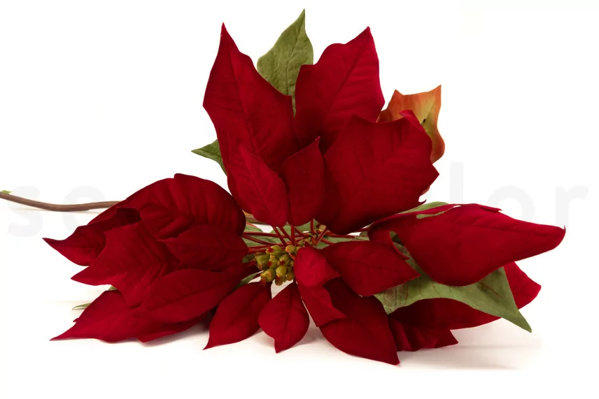 Stella di Natale artificiale Rosso