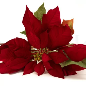 Flor de Pascua artificial Rojo