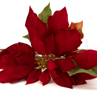 Flor de Pascua con tallo Artificial - Rojo