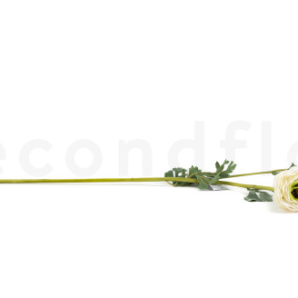 Renoncule sur tige Artificielle - Blanc