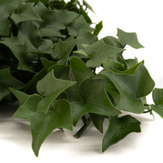 Ghirlanda di Edera Artificiale - Verde