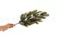 Artificial Pine Branch 3