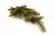 Artificial Pine Branch 5