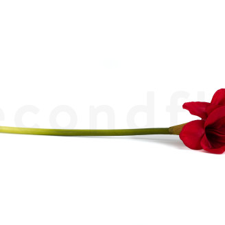 Amarilis con tallo Artificial - Rojo