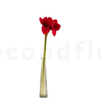 Amarilis artificial Rojo