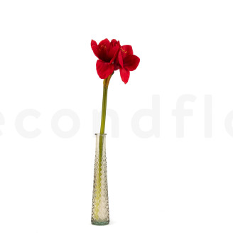 Amarilis con tallo Artificial - Rojo