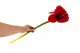 Amaryllis artificielle Rouge 4