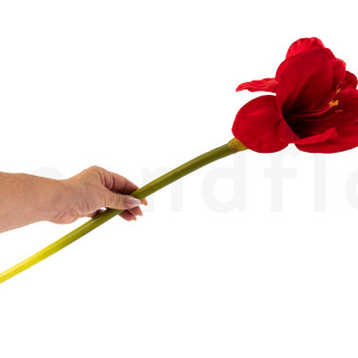 Amarilis con tallo Artificial - Rojo