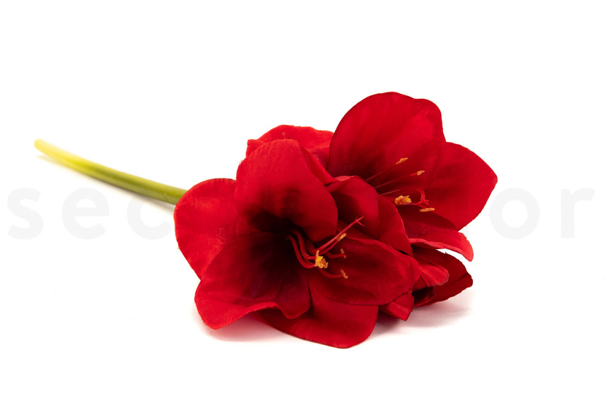 Amarilis con tallo Artificial - Rojo