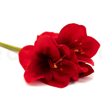 Amarilis con tallo Artificial - Rojo