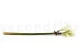 K&uuml;nstliche wilde Amaryllis Wei&szlig; 6