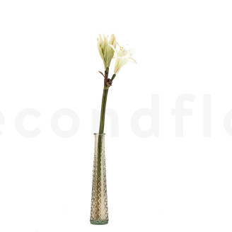Künstliche Wilde Amaryllis mit Stiel - Weiß