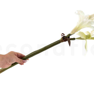 Amarilis Salvaje con tallo Artificial - Blanco