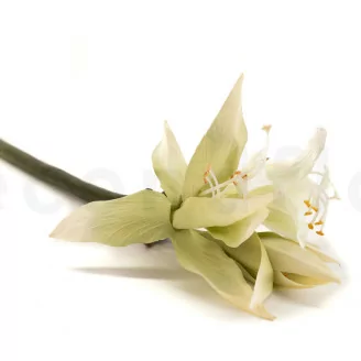 Artificial Wild Amaryllis on Stem - White
