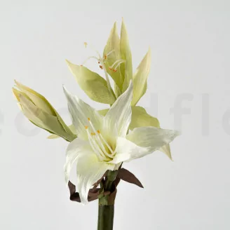 Amarilis Salvaje artificial Blanco