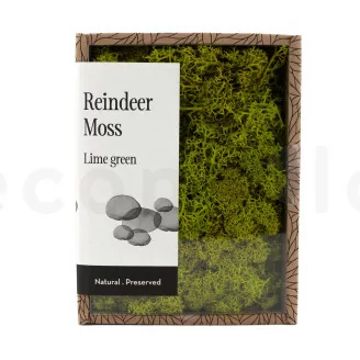 Lichen stabilis&eacute; Lime Green (Creabox S)