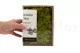 Lichene stabilizzato Lime Green (Creabox S) 8