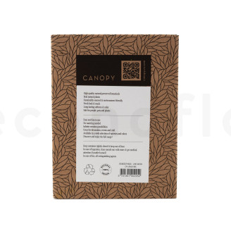 Liquen preservado - Creabox - Lime Green
