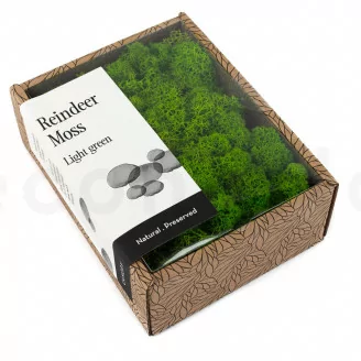 Lichen stabilis&eacute; Light Green (Creabox S)