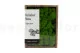 Lichene stabilizzato Light Green (Creabox S) 6