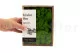 Liquen preservado Light Green (Creabox S) 8