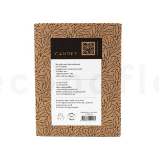Islandmoos konserviert - Creabox - Light Green