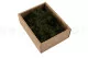 Air Fern preservado Nature Green (Creabox S) 5