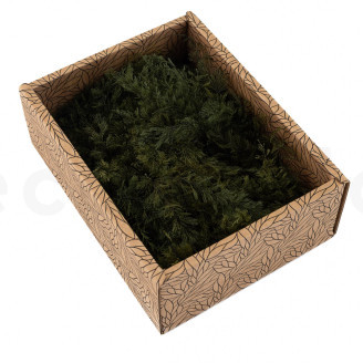 Air Fern stabilizzato - Creabox S - Nature Green