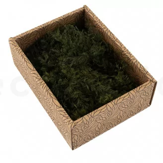 Air Fern stabilizzato Nature Green (Creabox S)
