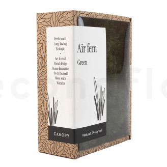 Air Fern stabilizzato - Creabox S - Nature Green