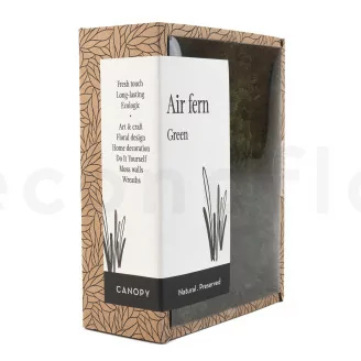 Air Fern stabilizzato Nature Green (Creabox S)