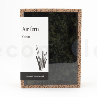 Air Fern Stabilis&eacute;e - Creabox - Nature Green 