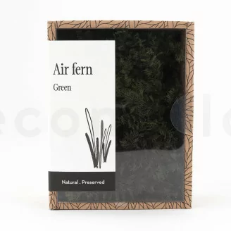 Air Fern stabilizzato Nature Green (Creabox S)