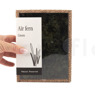 Air Fern stabilizzato - Creabox S - Nature Green