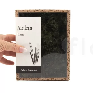 Air Fern stabilizzato Nature Green (Creabox S)