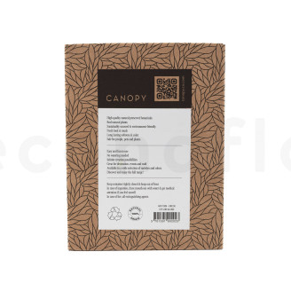 Air Fern konserviert - Creabox - Nature Green