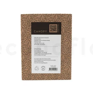 Air Fern stabilizzato Nature Green (Creabox S)