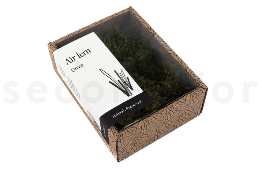 Air Fern Stabilis&eacute;e - Creabox - Nature Green 