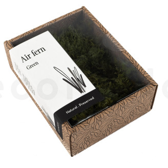 Air Fern Stabilis&eacute;e - Creabox - Nature Green 